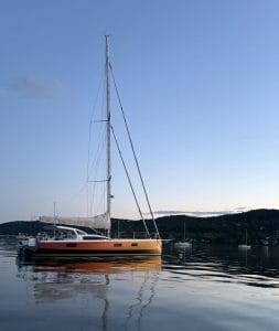 IMG 4555
